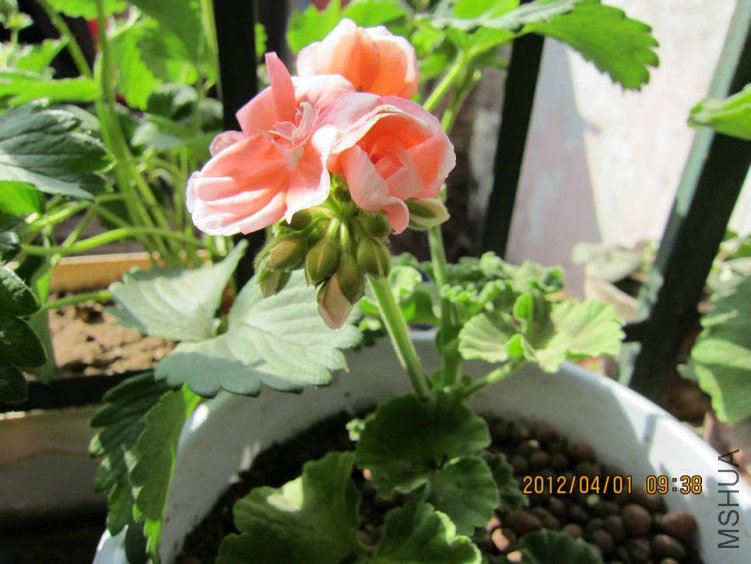 ��Ƭ 072.jpg