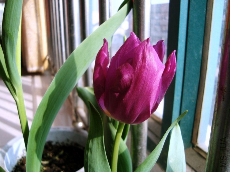 DSC04362.jpg