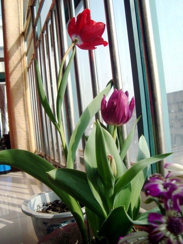 DSC04363.jpg
