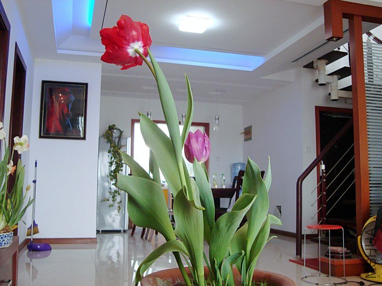 DSC04379.jpg