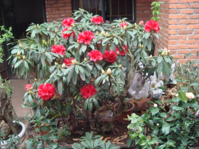 DSC07863.JPG
