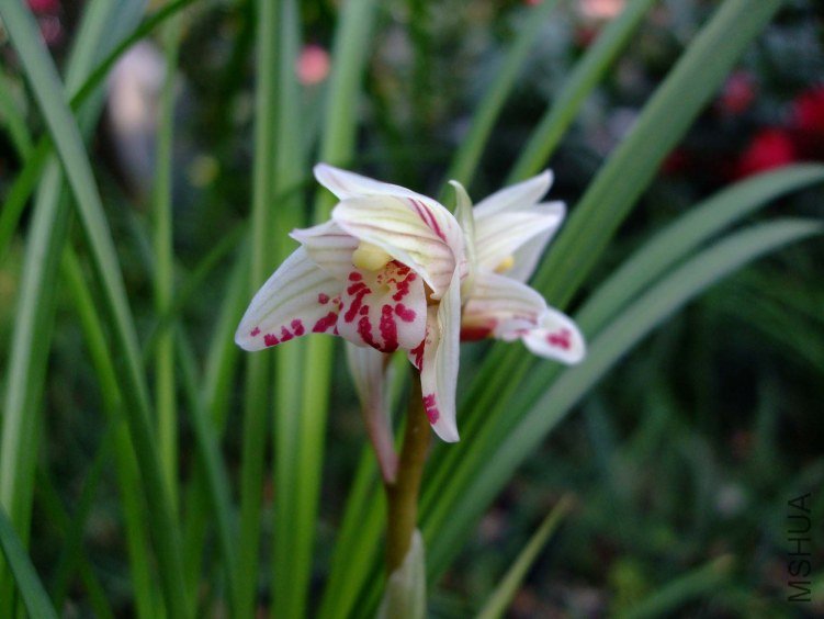 ������ 2012-4-2f 067.jpg