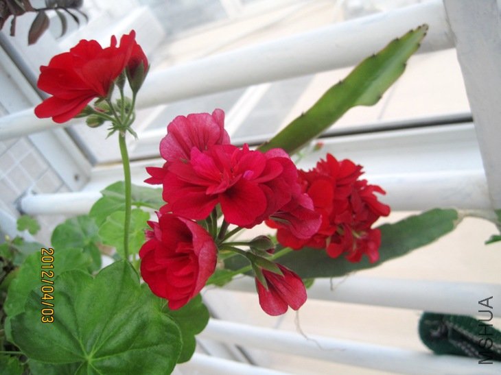 20 059.jpg