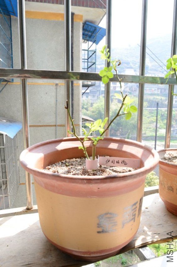 ̫����С���ˣ�������Ҷ���˻���ð�ո������˷��ӣ�����������ˣ��Ҹ�����