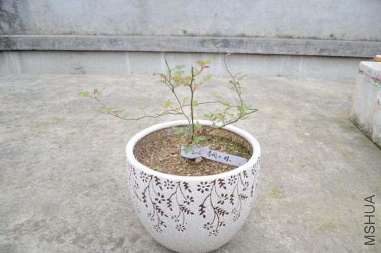 ��ʼʱ������ģ����������ɻ���ҽ�ŵ�¥�����ˣ�������ð����һ����ѿ���������