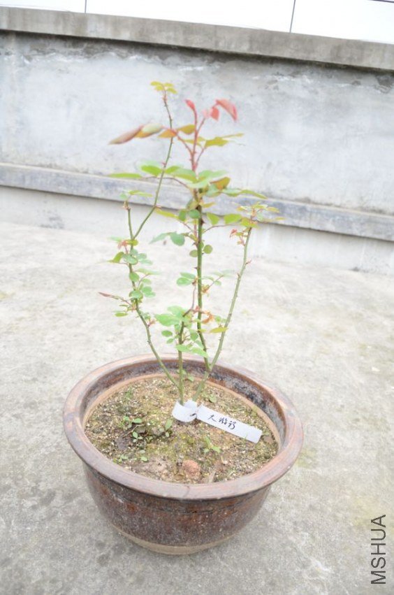 ��ʼ��**�Ϳ��Ų��У��ŵ��˶�¥���������