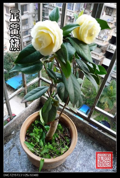 ������09g.jpg