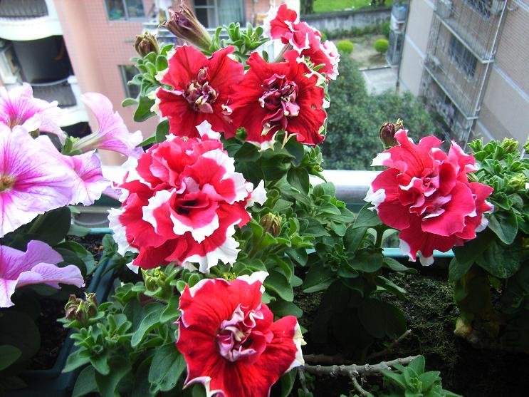 �ذ��ɫ��ת�������ؼ������¿���