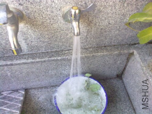 20120403774.jpg