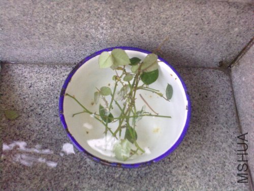 20120403775.jpg