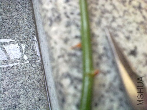 20120403776.jpg