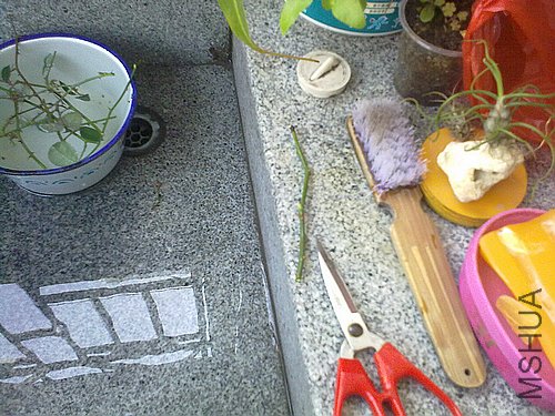 20120403777.jpg