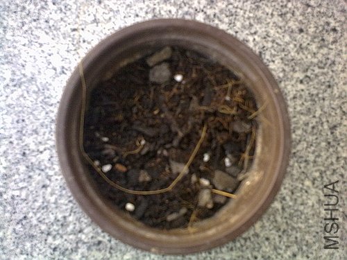 20120403778.jpg