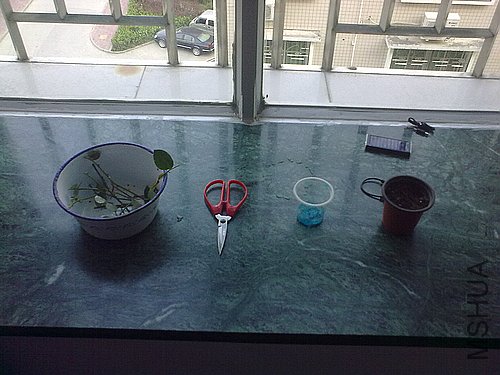 20120403779.jpg
