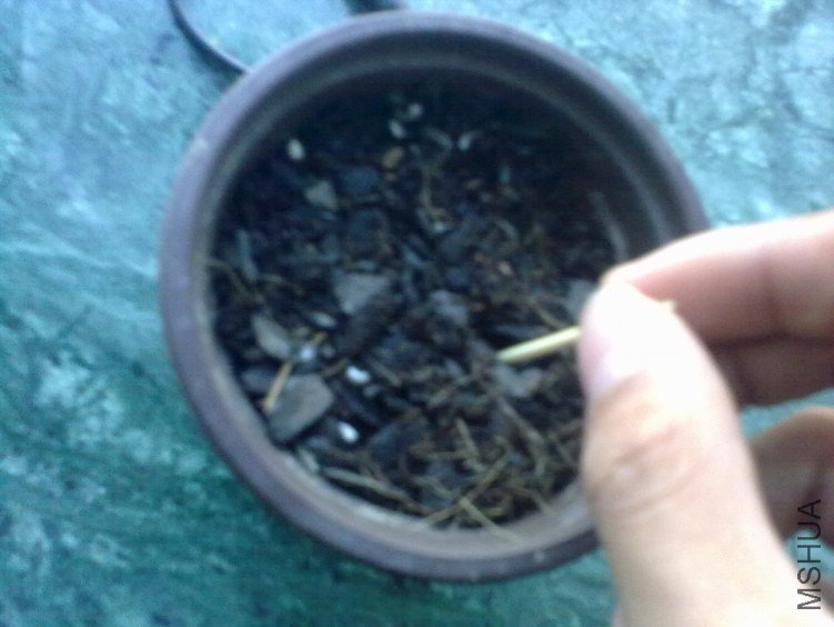 20120403782.jpg