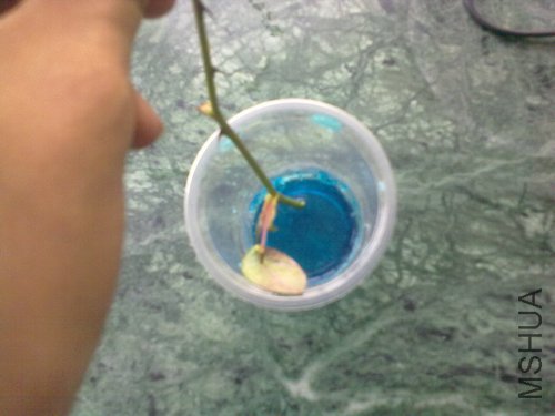 20120403783.jpg
