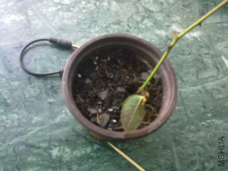 20120403784.jpg