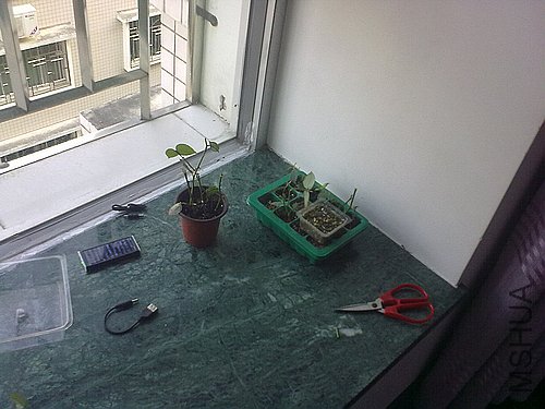 20120403785.jpg