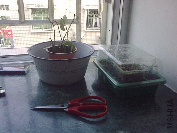 20120403788.jpg