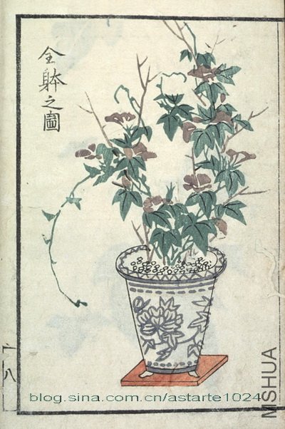 ��̳����ͨ 1.jpg