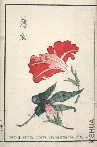 ��̳����ͨ 2.jpg