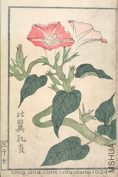 ��̳����ͨ 3.jpg