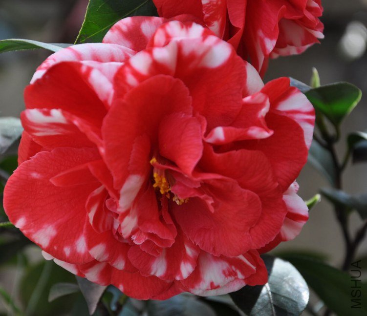 ���� (9).JPG