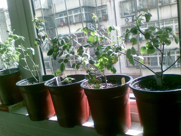20120403(014).jpg
