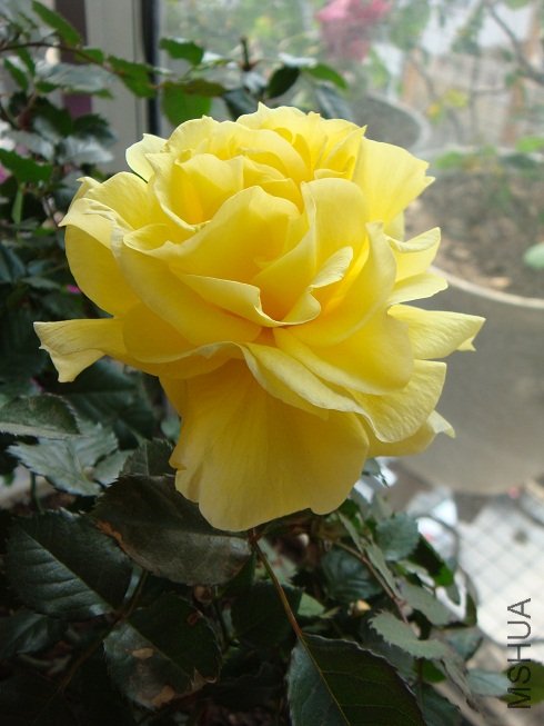 DSC09360.JPG