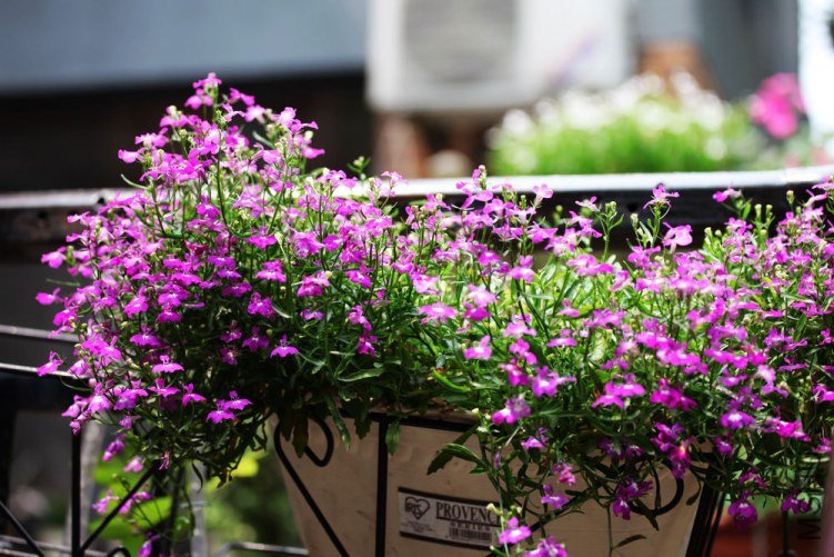 �����ݲ� 134.jpg