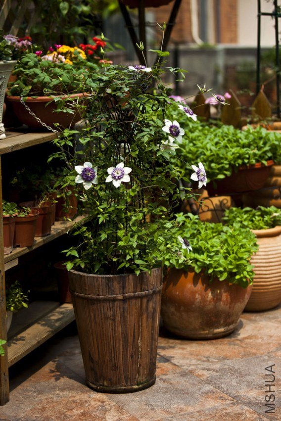 �����ݲ� 123s.jpg