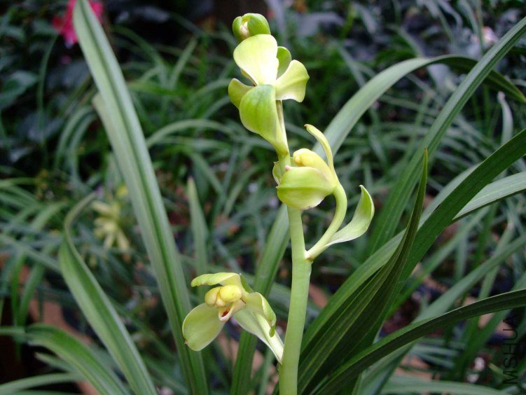 ��ޥ÷ 2012-4-4f 099.jpg