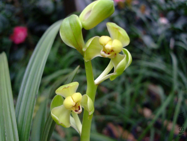 ��ޥ÷ 2012-4-4f 102.jpg