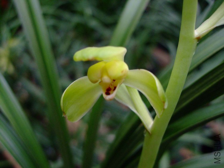 ��ޥ÷ 2012-4-4f 100.jpg