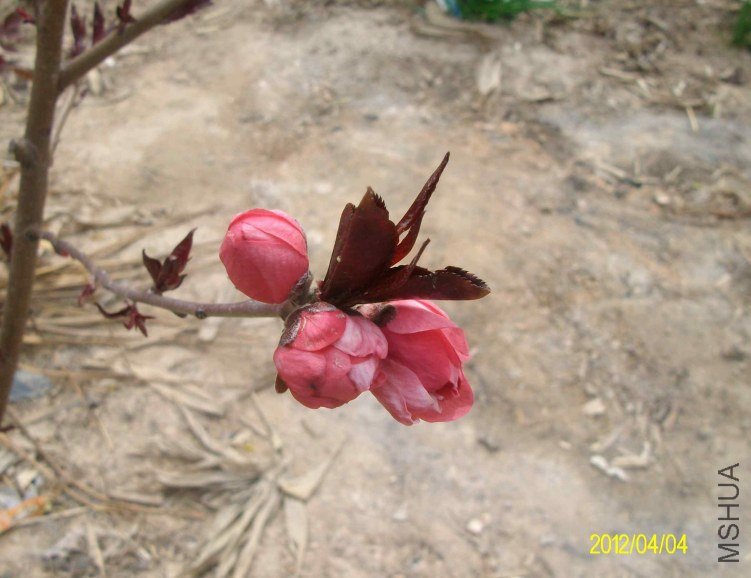 ALIM8283.jpg