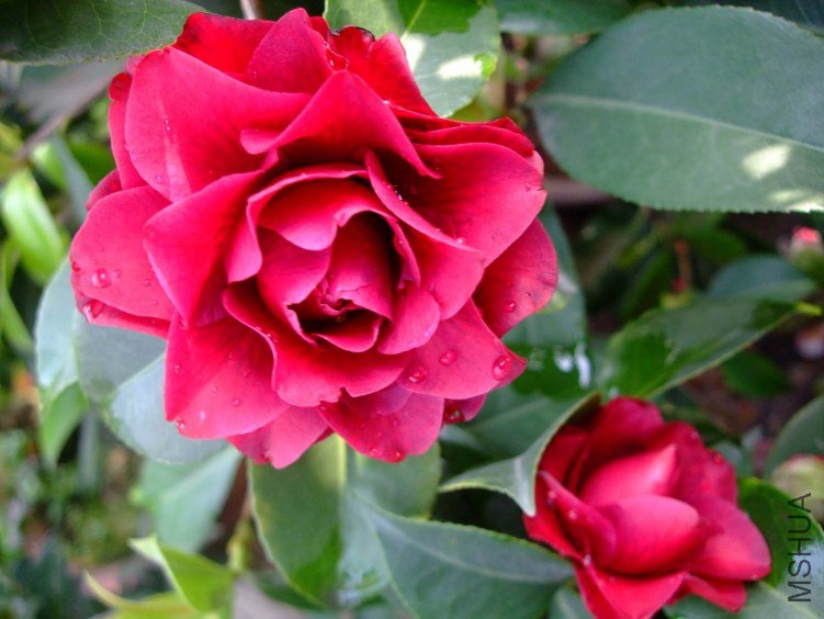 ����õ�� 2012-4-4f 037.jpg