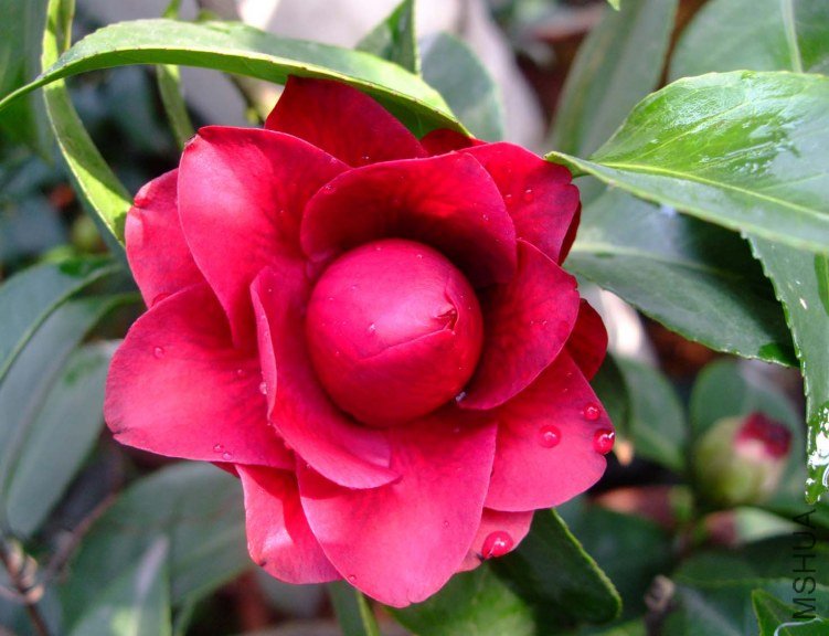 ����õ�� 2012-4-4f 036.jpg