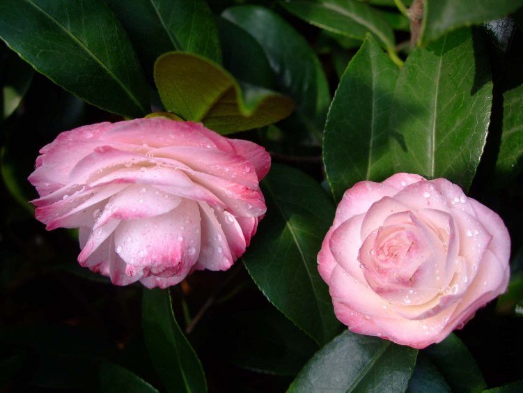 ����˿ 2012-4-4f 061.jpg