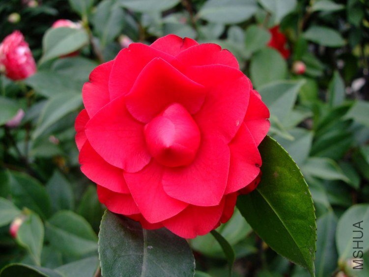 �ɶ� 2012-4-4f 149.jpg