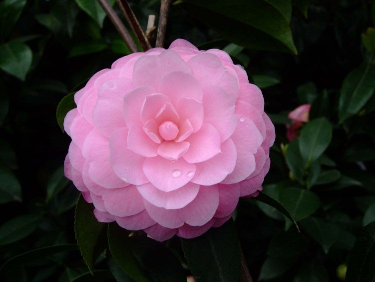 ���˲� 2012-4-4f 166.jpg