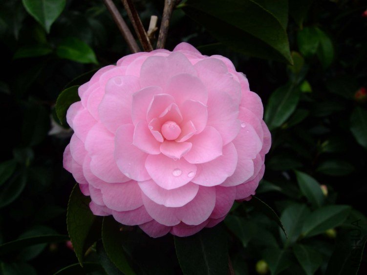 ���˲� 2012-4-4f 169.jpg