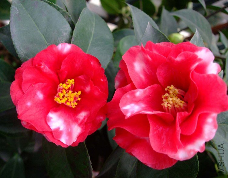 ��ȸ���� 2012-4-4f 141.jpg