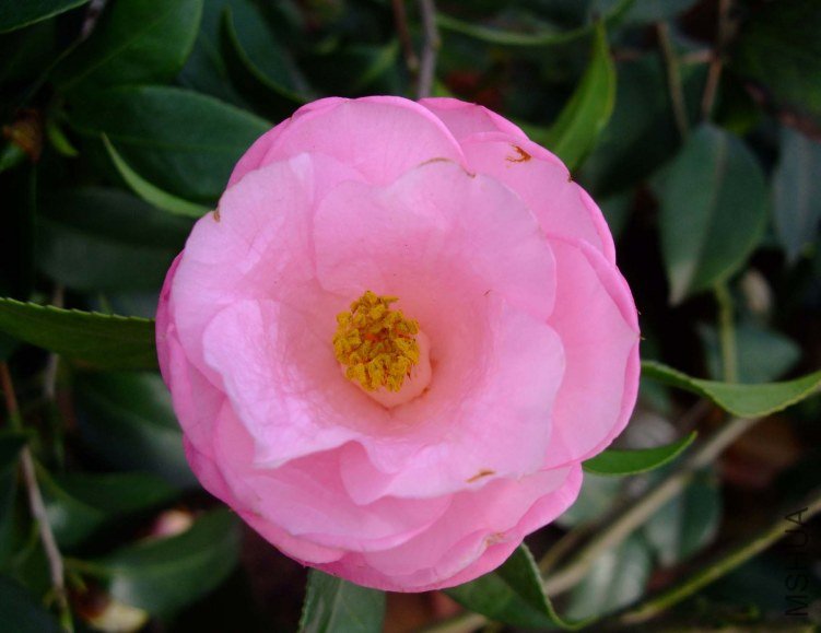 ʮȫ��̩�� 2012-4-4f 052.jpg