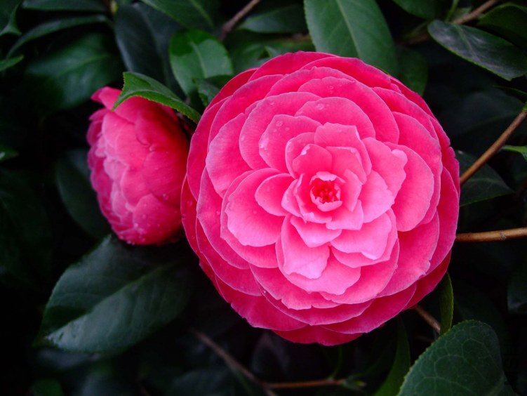 �ղ��� 2012-4-4f 023.jpg