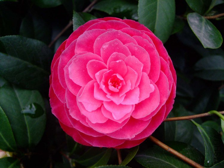 �ղ��� 2012-4-4f 022.jpg