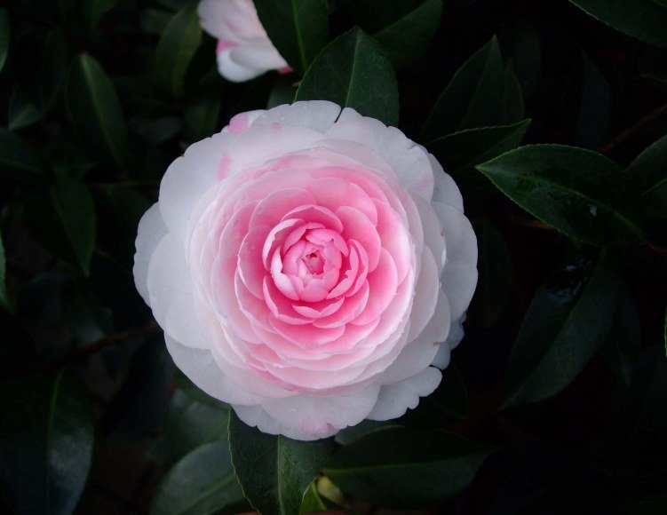 ���غ�˹ 2012-4-4f 021.jpg