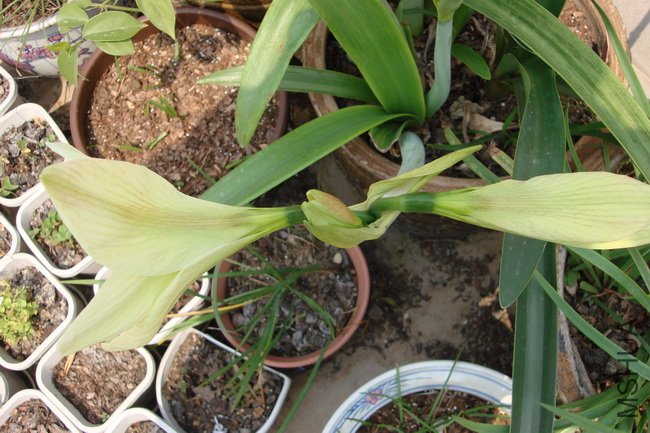 DSC04893_������С.JPG