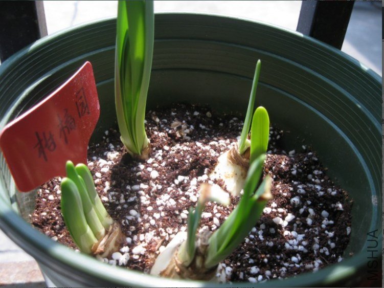 QQ��ͼ20120404180655.jpg
