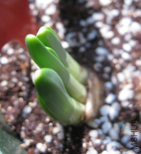 QQ��ͼ20120404180846.jpg