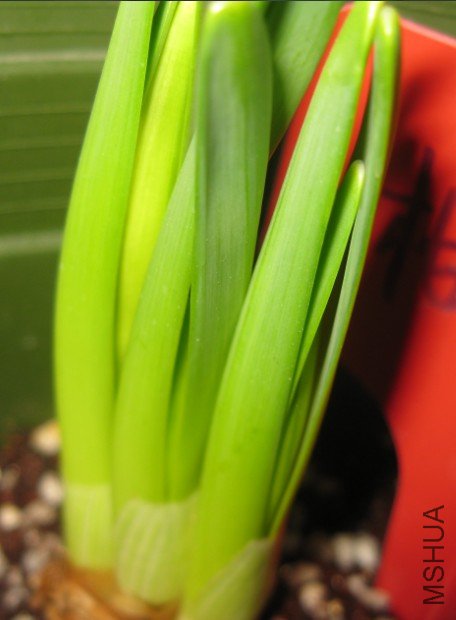 QQ��ͼ20120404181054.jpg